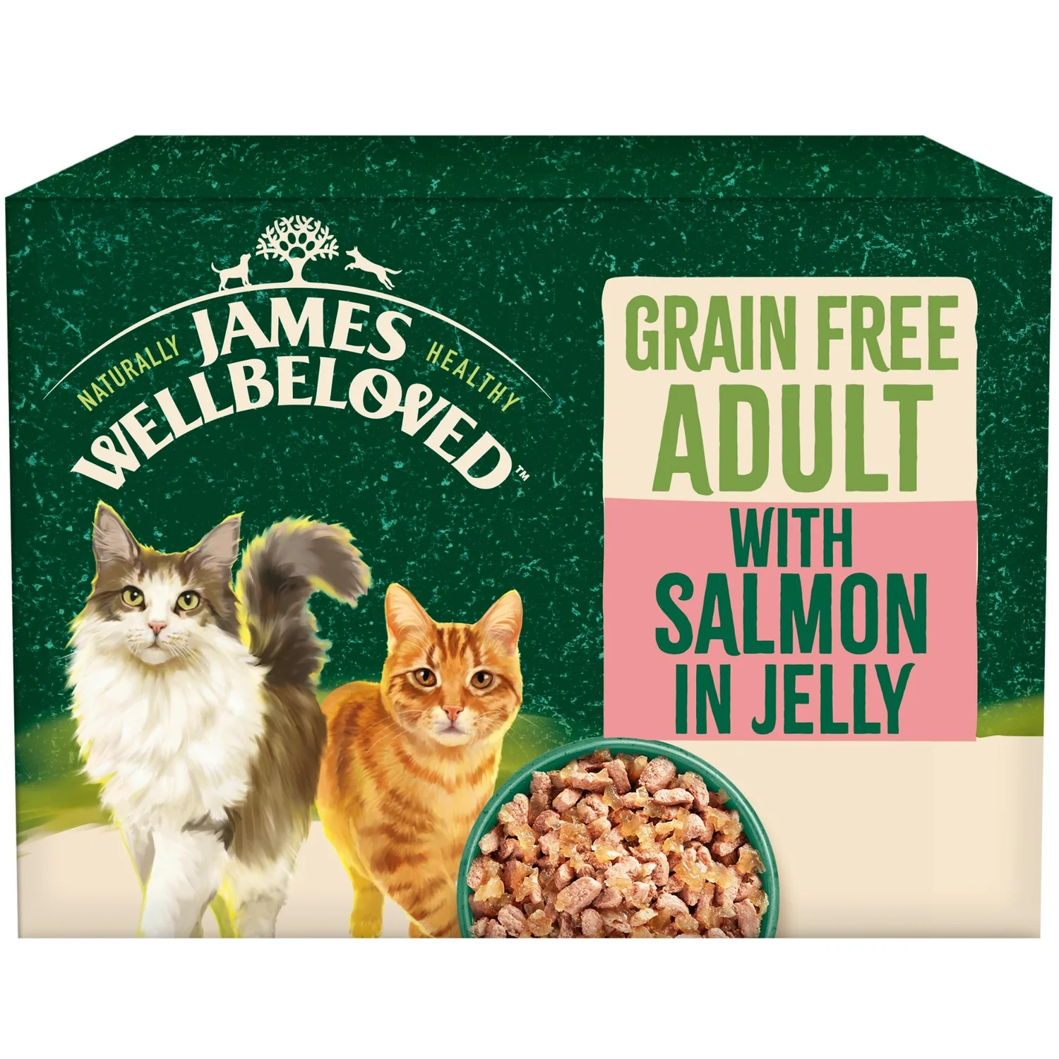 Jelly Grain Free Wet Cat Food Pouches