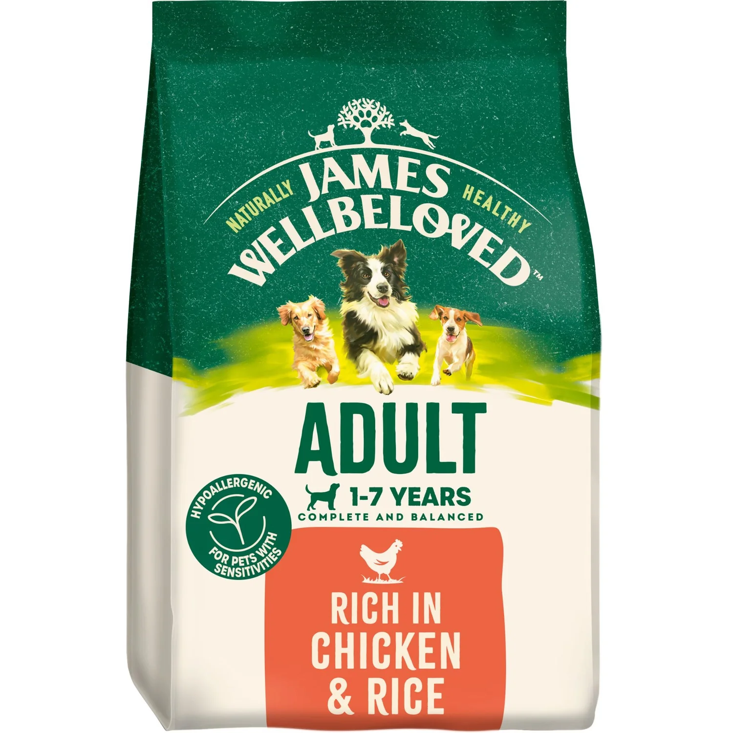 Chicken & Rice Dry Dog Food