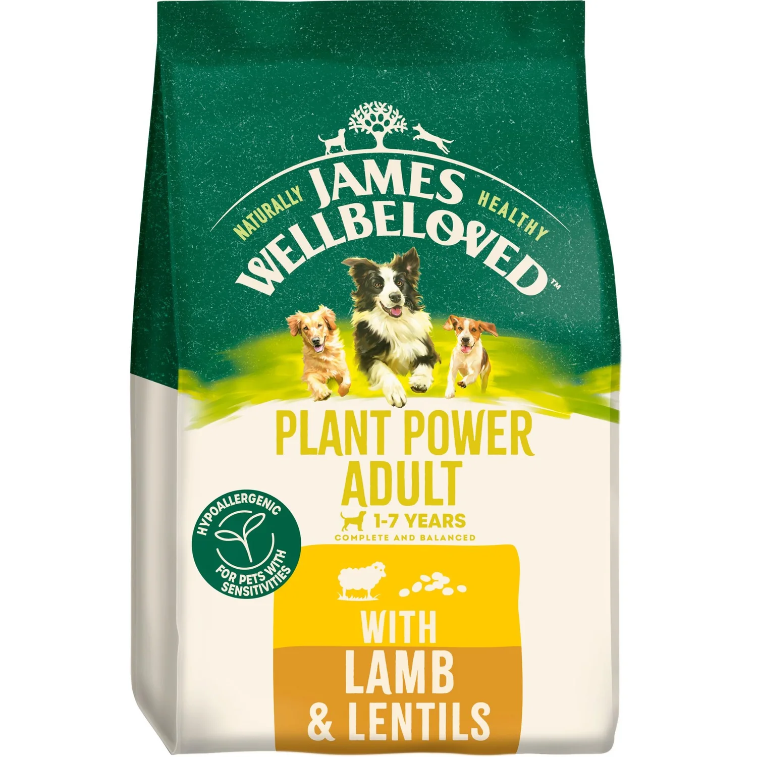 Lamb Dry Dog Food Plant Power
