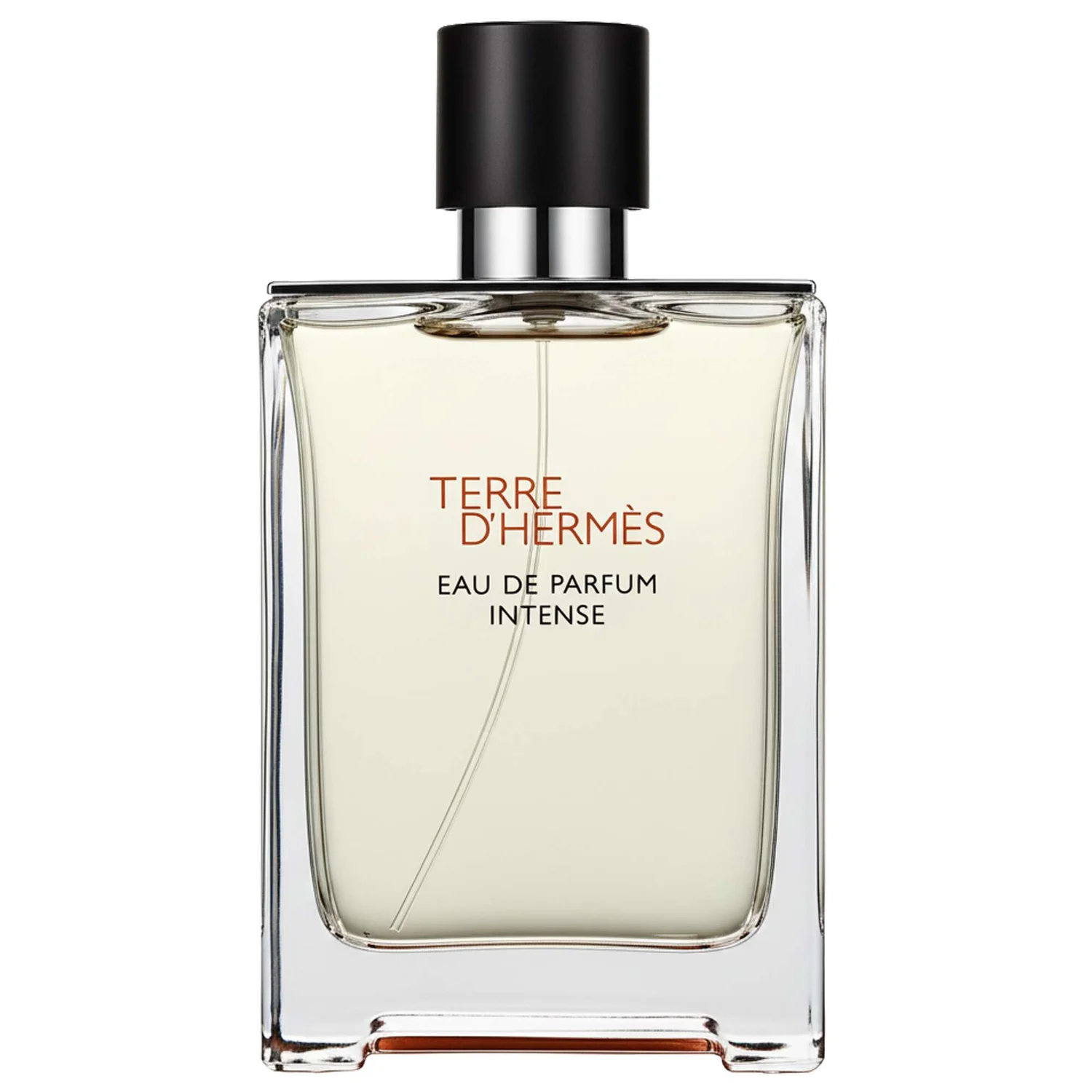 Hermès Terre dâHermès Eau de Parfum Intense Spray 100ml