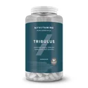 Tribulus Terrestris Capsules