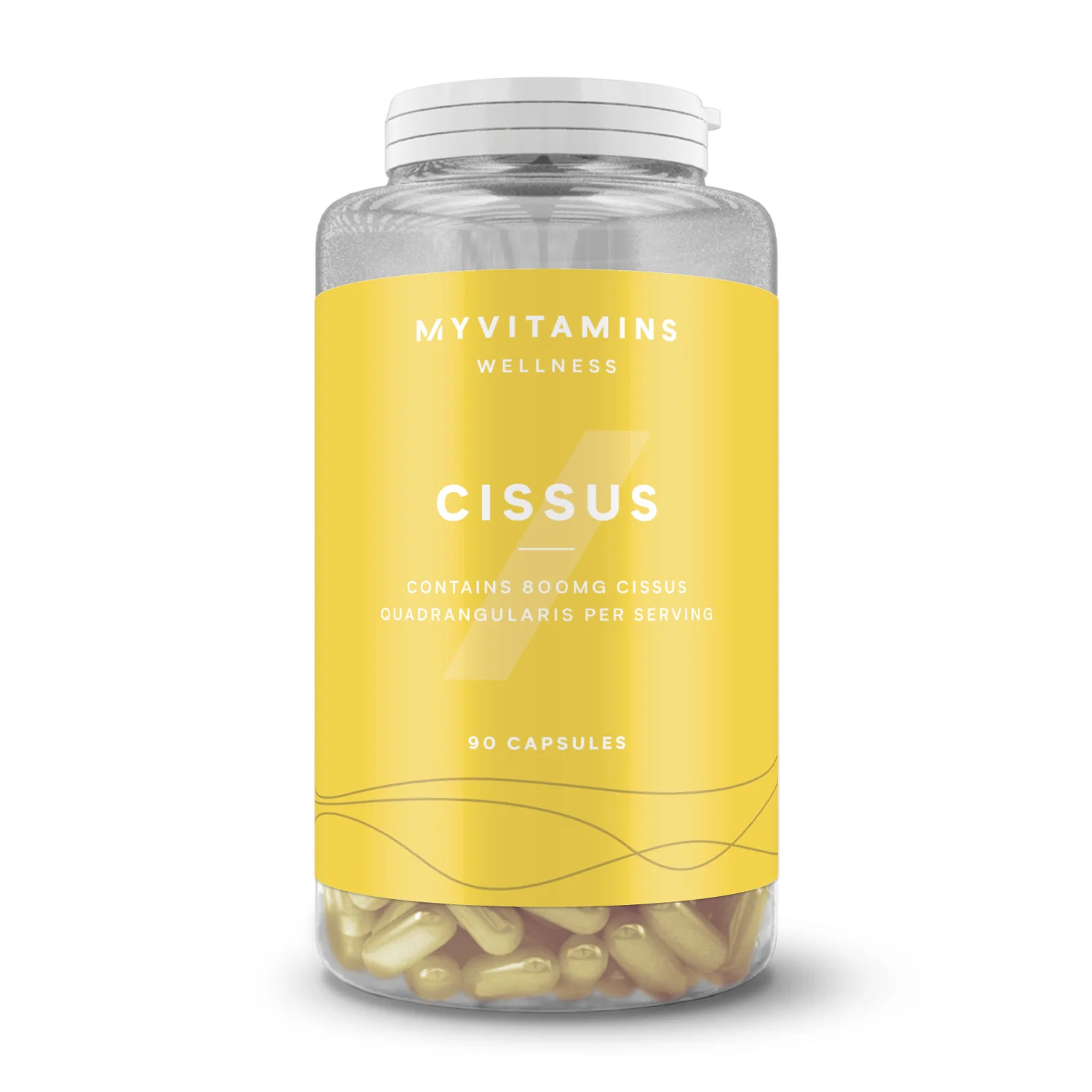 Cissus